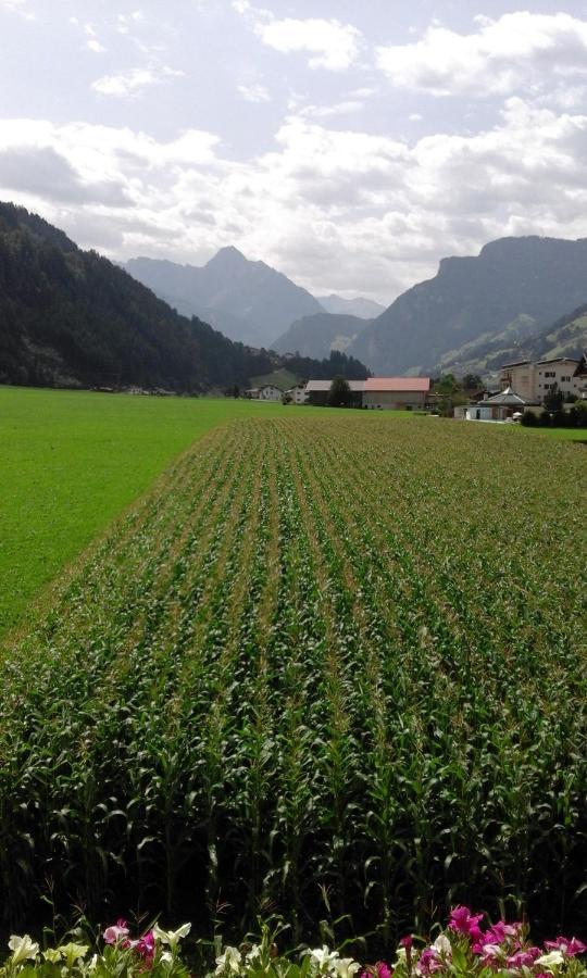 Gaestehaus Wildauer Zell am Ziller Dış mekan fotoğraf
